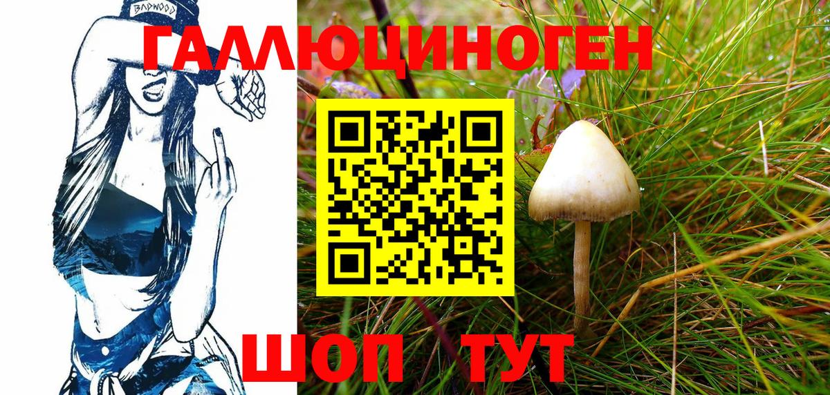 Псилоцибиновые грибы GOLDEN TEACHER Ишимбай